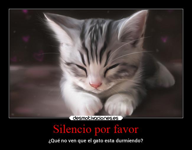 Silencio por favor - ¿Qué no ven que el gato esta durmiendo?