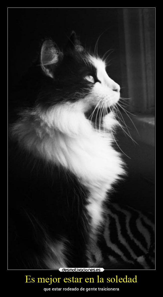 Es mejor estar en la soledad - que estar rodeado de gente traicionera