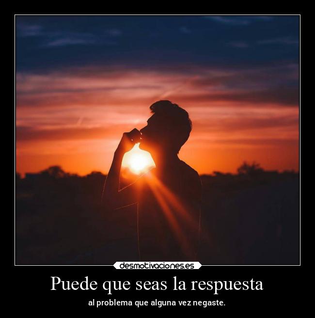 Puede que seas la respuesta - 