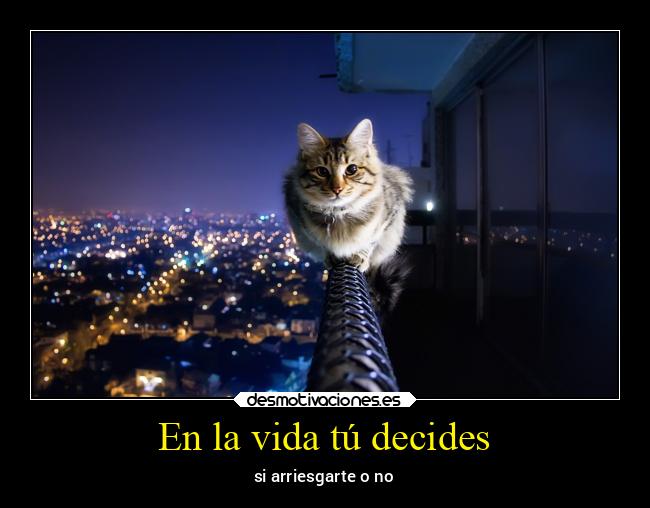 En la vida tú decides - si arriesgarte o no