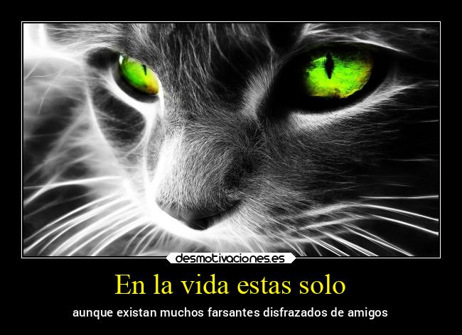 En la vida estas solo - aunque existan muchos farsantes disfrazados de amigos