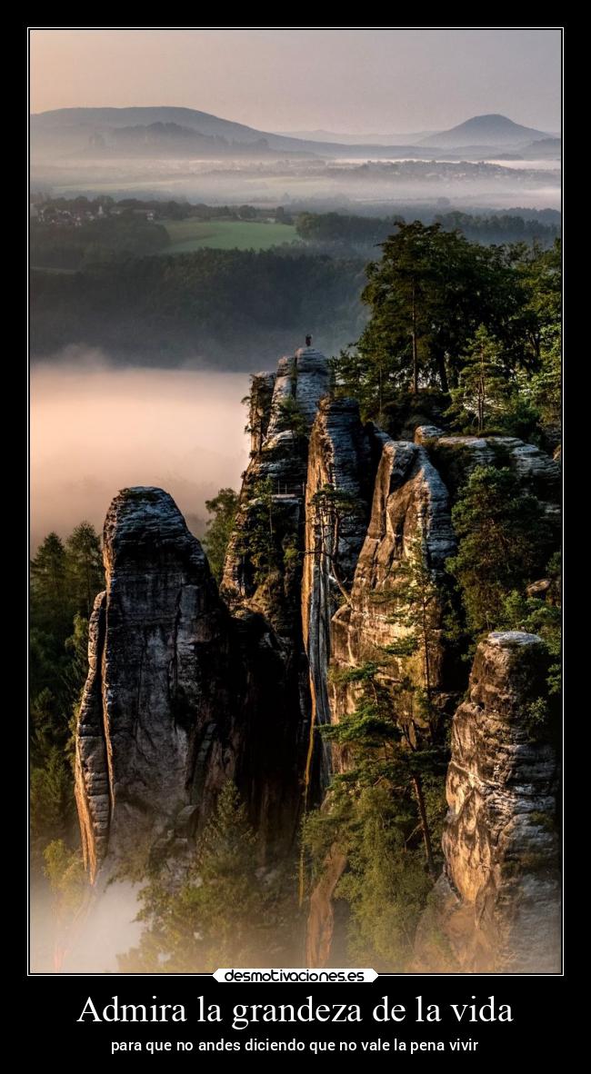 Admira la grandeza de la vida - 