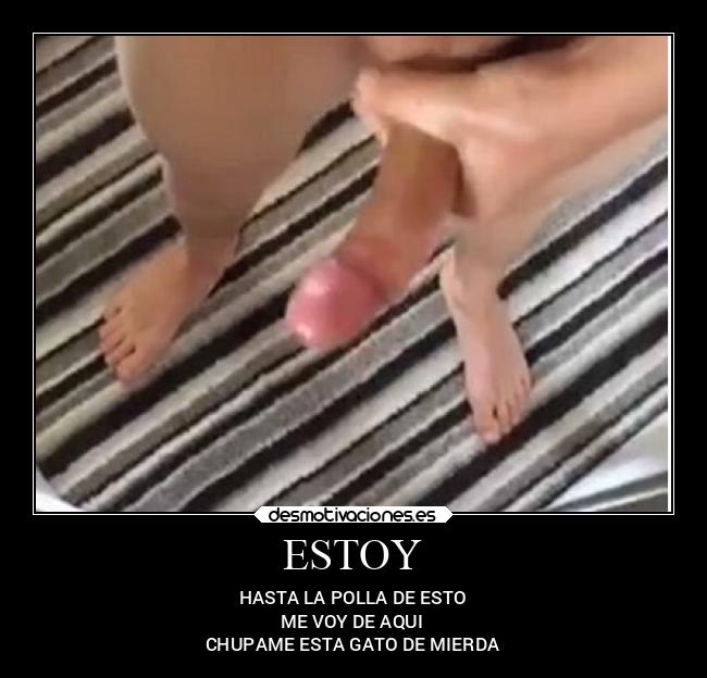 ESTOY -