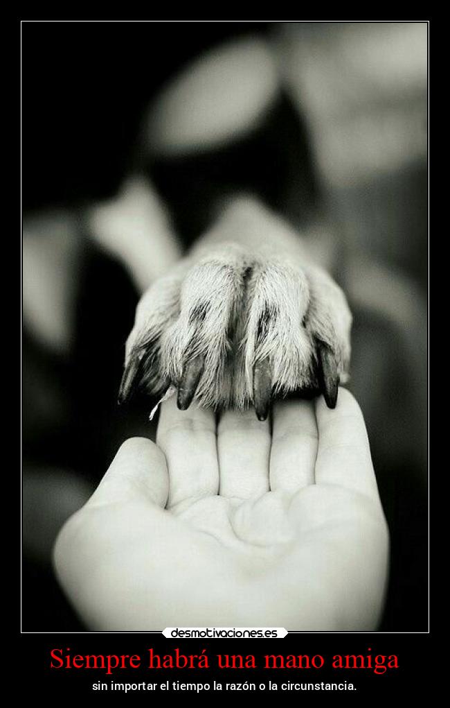 Siempre habrá una mano amiga -