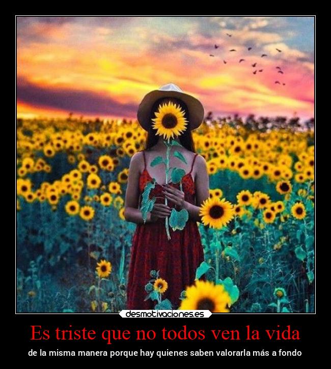 Es triste que no todos ven la vida -