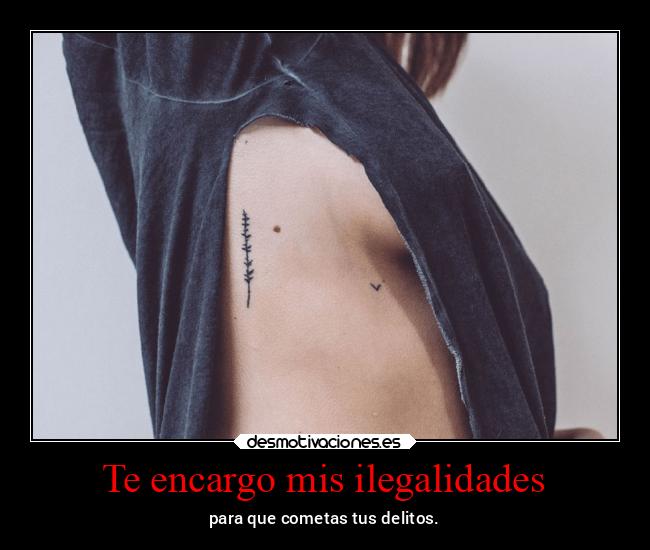 Te encargo mis ilegalidades -