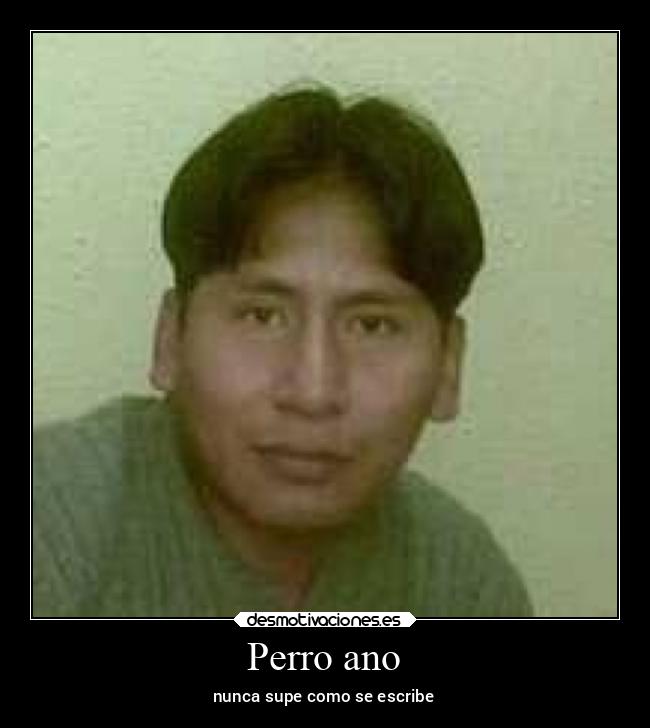 Perro ano - 