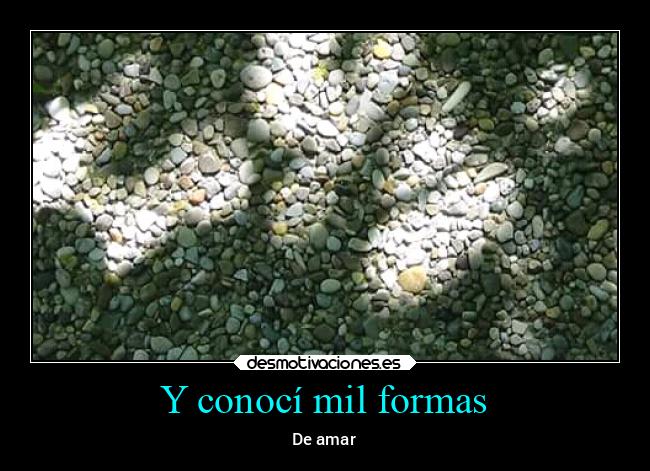 Y conocí mil formas - 
