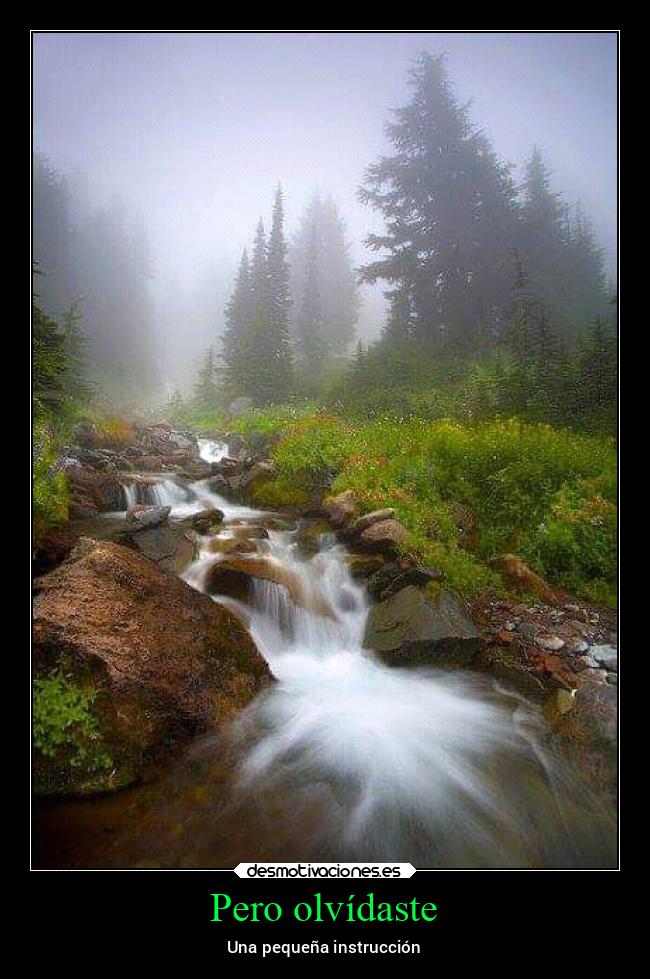 Pero olvídaste - 