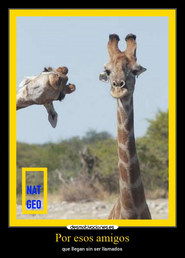 carteles amigos humor desmotivaciones