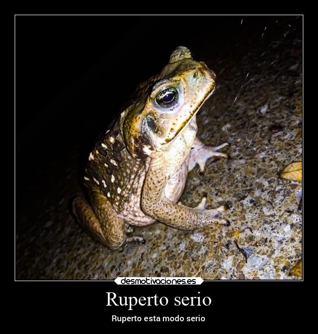 carteles amigos desmotivaciones