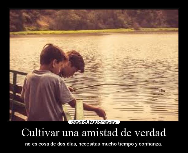 Cultivar una amistad de verdad - 