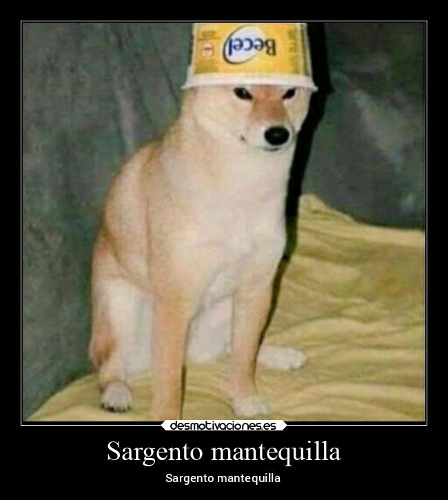 carteles animales sargento mantequilla mucho mamado desmotivaciones