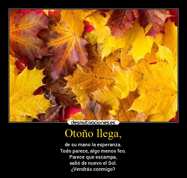 Otoño llega, -