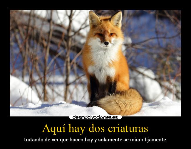 Aquí hay dos criaturas - 