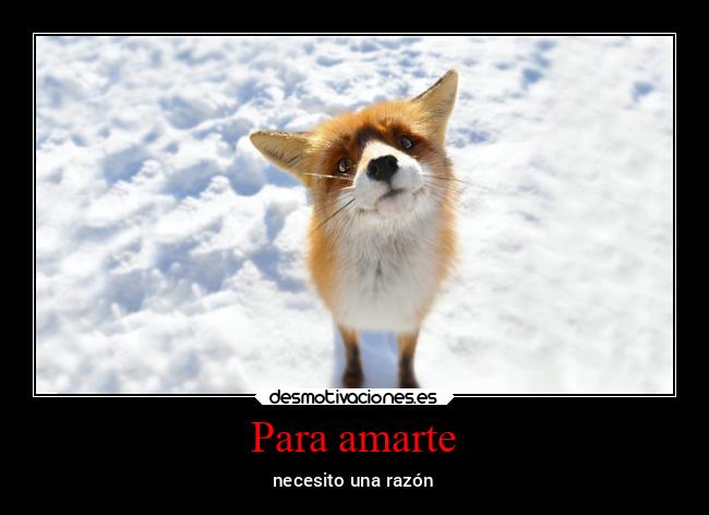 Para amarte - 