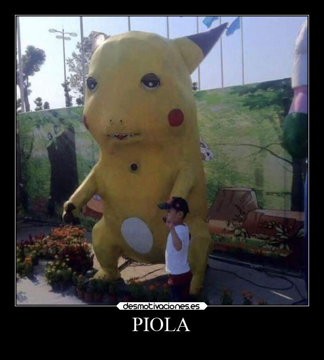 PIOLA - 