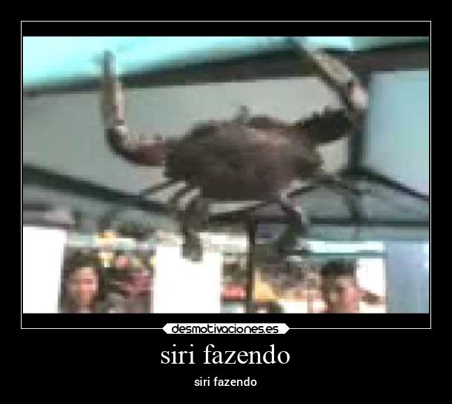 siri fazendo - siri fazendo