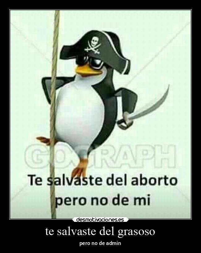te salvaste del grasoso - pero no de admin