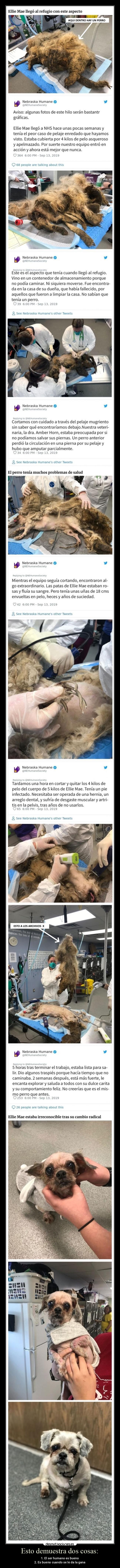 Esto demuestra dos cosas: - 