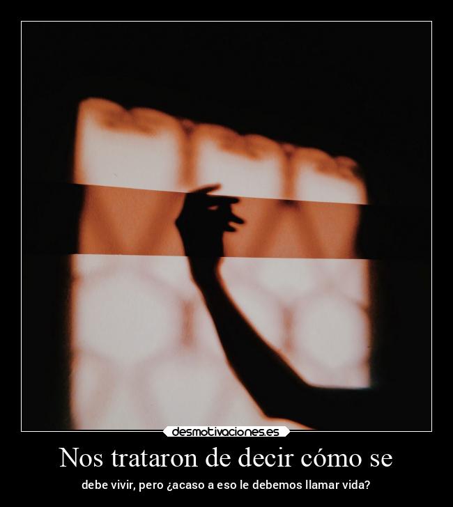 carteles desmotivaciones vida clandesplazado soyunidiotatm manada32 projectd desmotivaciones