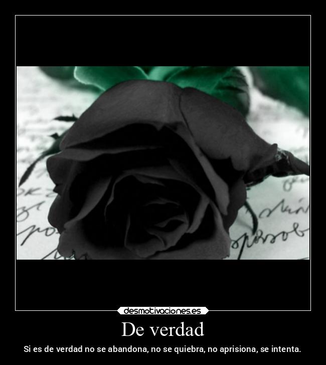 De verdad - Si es de verdad no se abandona, no se quiebra, no aprisiona, se intenta.