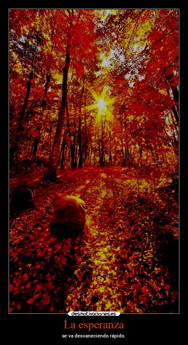 carteles esperanza vida chopper igbt gtov3 otono fall desmotivaciones