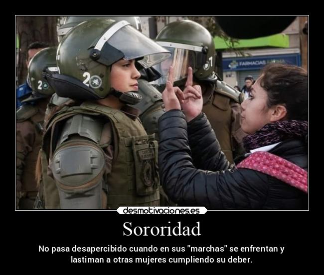 carteles mujer feminazis hembrismo sororidad machismo anarquia incoherencia desmotivaciones