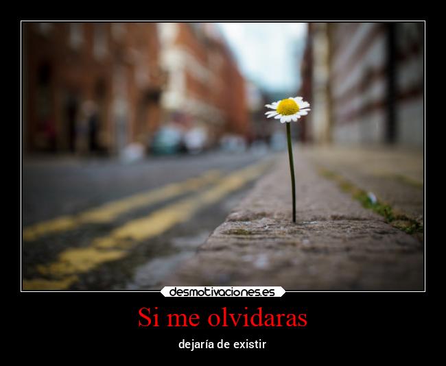 Si me olvidaras - dejaría de existir