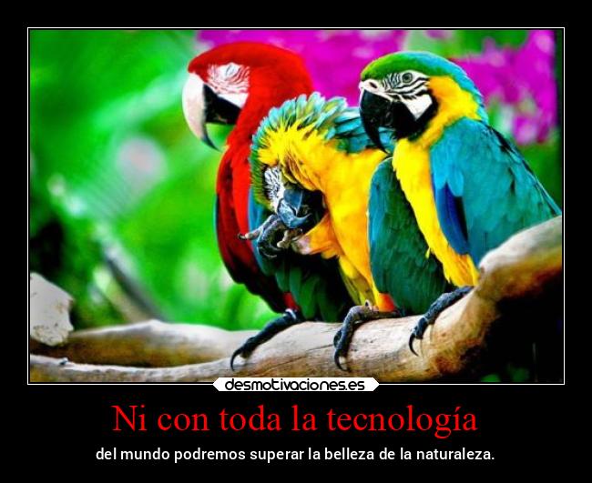 Ni con toda la tecnología - del mundo podremos superar la belleza de la naturaleza.