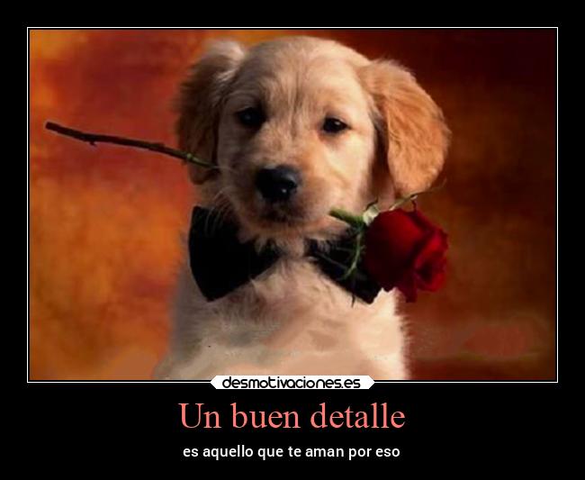 Un buen detalle - 