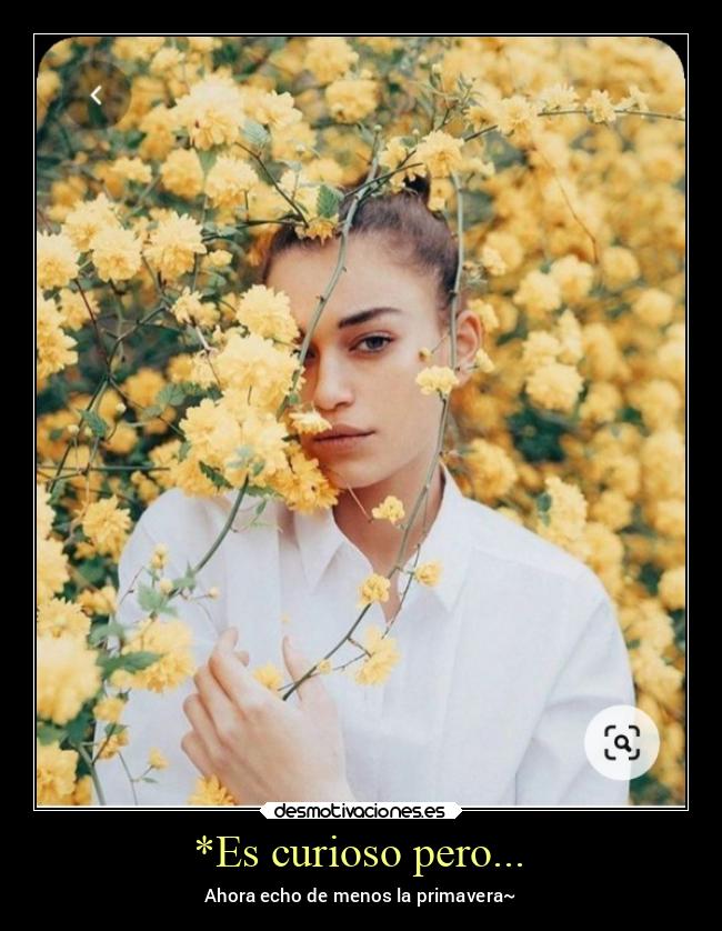 *Es curioso pero... - 