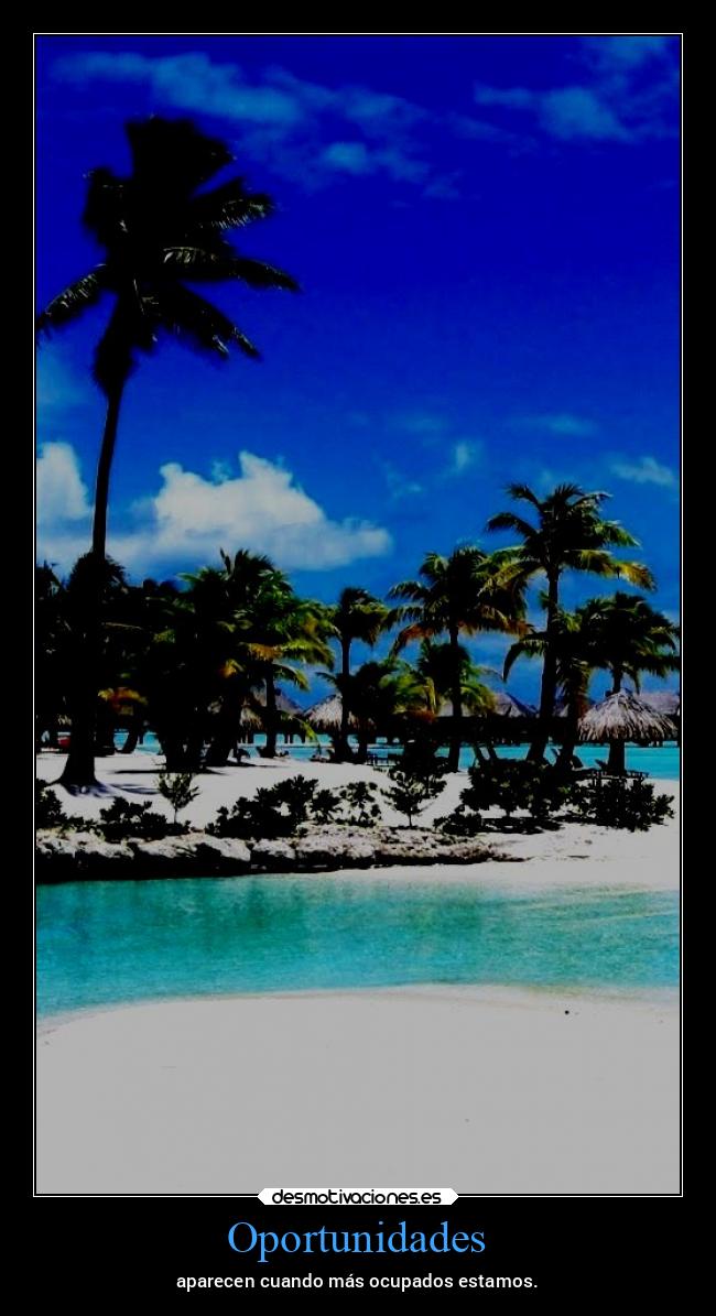 carteles vida chopper igbt gtov3 desmotivaciones