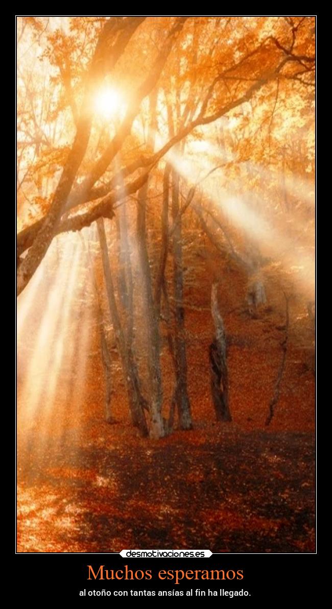 Muchos esperamos -