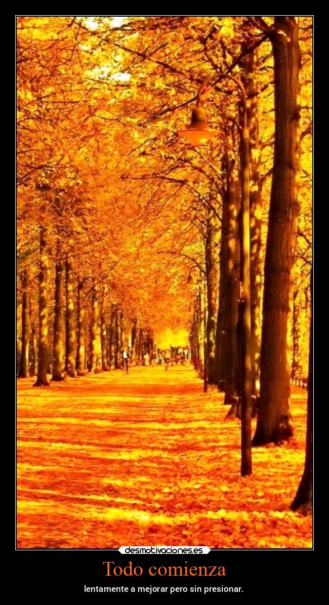 Todo comienza -