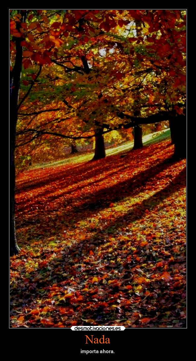 carteles vida chopper igbt gtov3 otono fall desmotivaciones