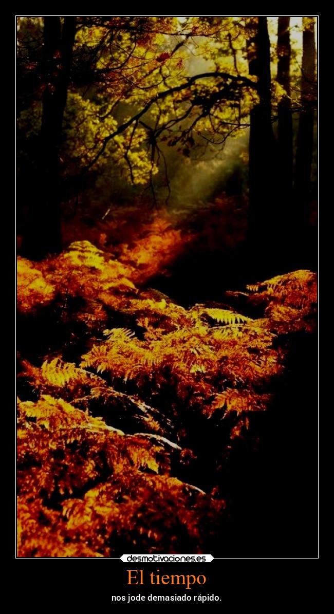 carteles vida chopper igbt gtov3 otono fall desmotivaciones