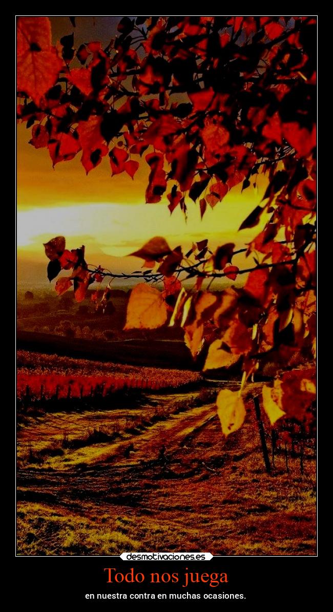 carteles vida chopper igbt gtov3 otono fall desmotivaciones