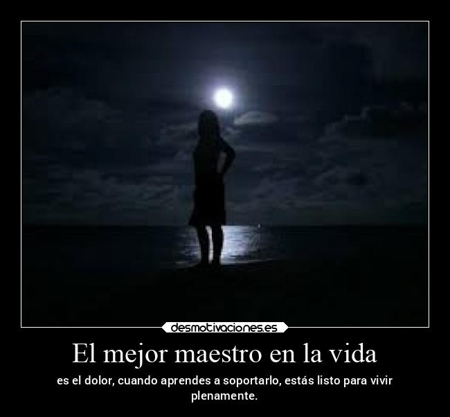 carteles vida frases vida desmotivaciones