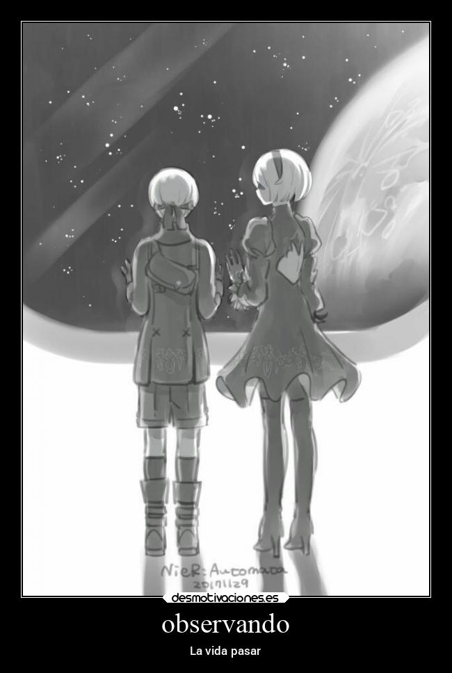 observando - La vida pasar