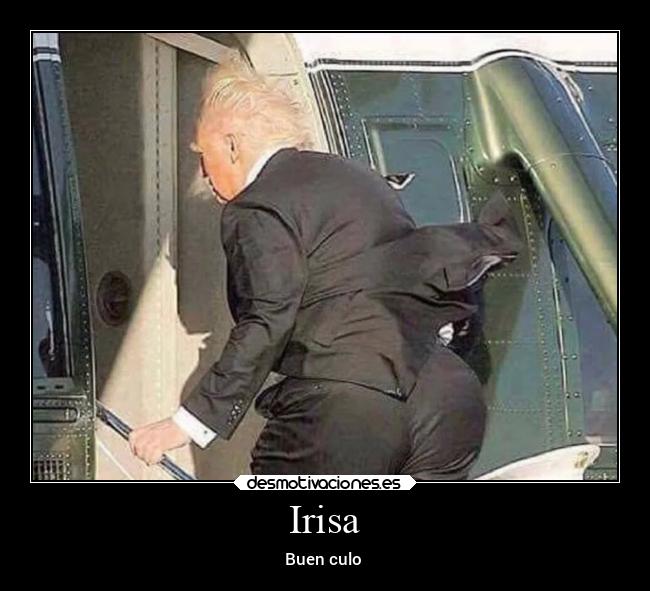 carteles amigos amor desmotivaciones