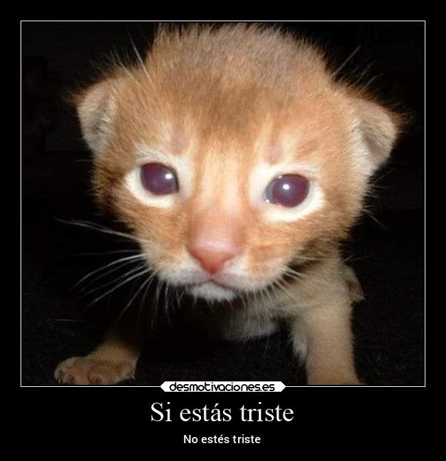 carteles amigos desmotivaciones