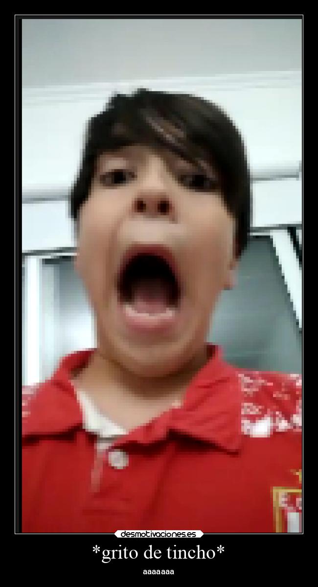 *grito de tincho* - 