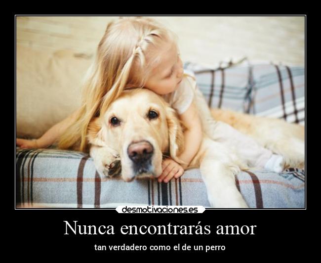 Nunca encontrarás amor - 