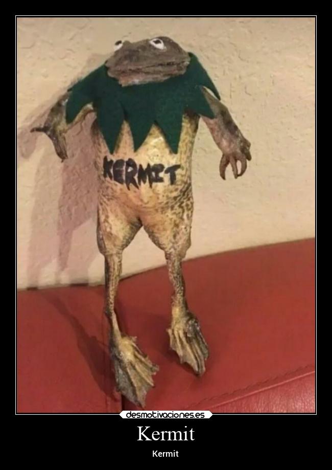 Kermit - Kermit
