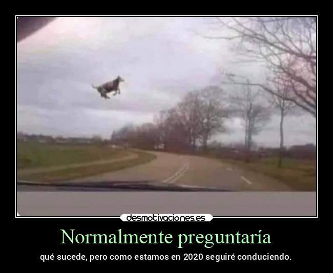 Normalmente preguntaría - qué sucede, pero como estamos en 2020 seguiré conduciendo.