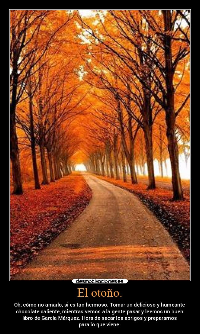 El otoño. - Oh, cómo no amarlo, si es tan hermoso. Tomar un delicioso y humeante
chocolate caliente, mientras vemos a la gente pasar y leemos un buen
libro de García Márquez. Hora de sacar los abrigos y prepararnos
para lo que viene.