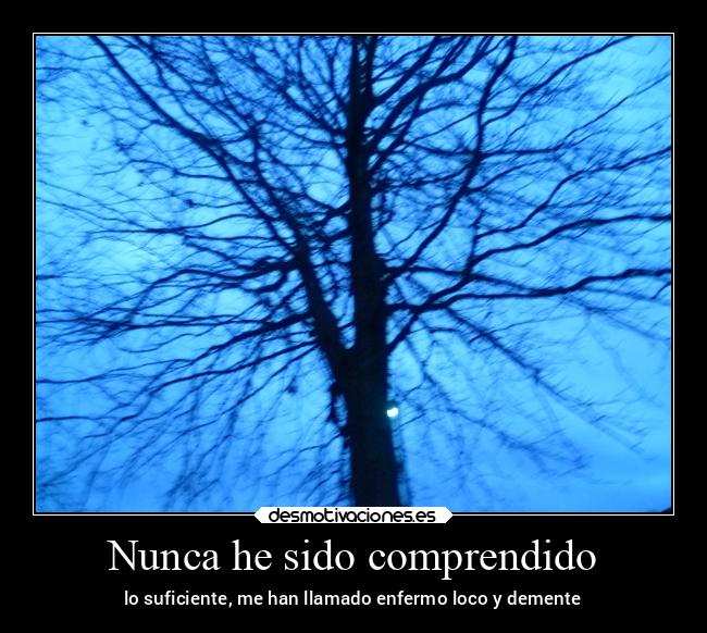 Nunca he sido comprendido - 