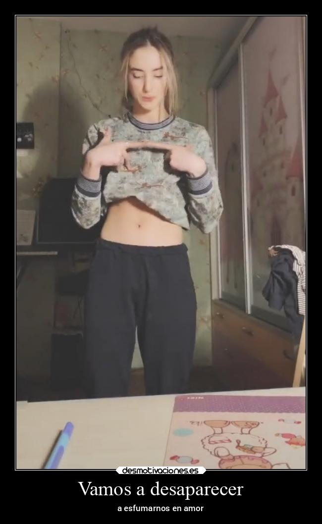 Vamos a desaparecer - 