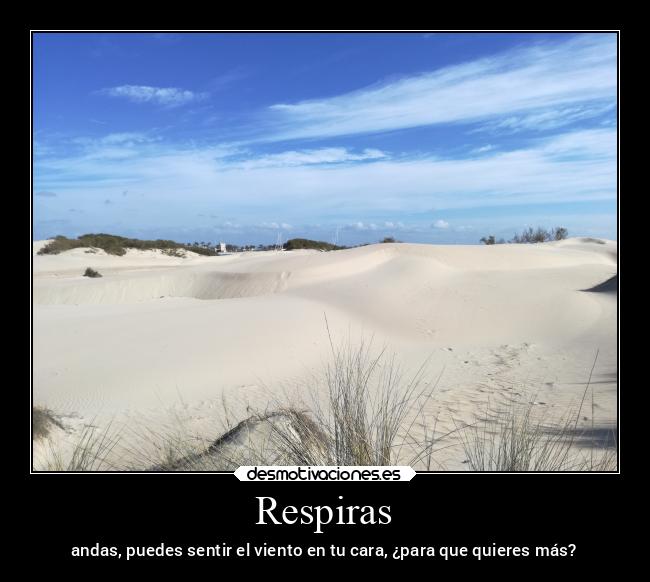 Respiras - andas, puedes sentir el viento en tu cara, ¿para que quieres más?